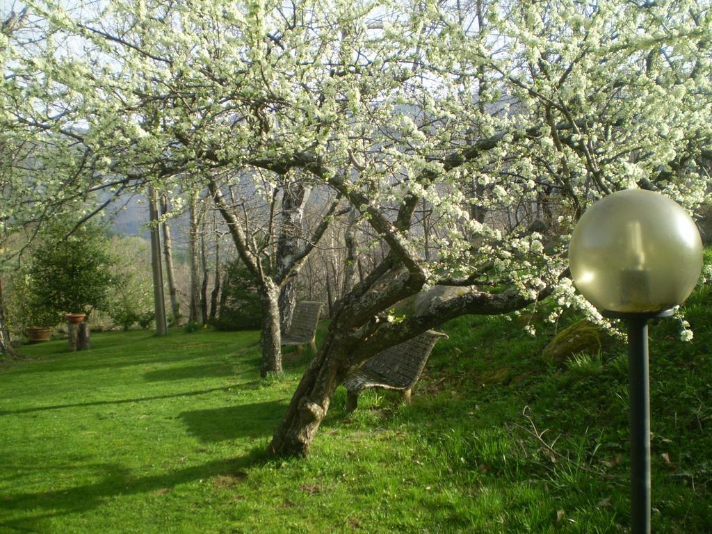 I 3 Porcellini ξενώνας Cutigliano Εξωτερικό φωτογραφία